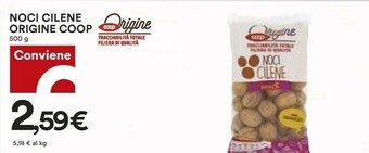 Coop Coop - Noci Cilene 500 G(ml) offerta