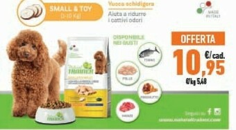 Conad Cibo per cani offerta