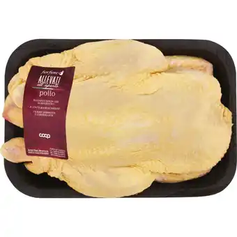 Busto intero di pollo fior fiore coop