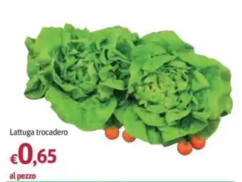 Futura Supermercati Lattuga trocadero offerta