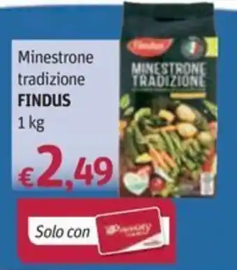 Minestrone tradizione FINDUS 1 kg