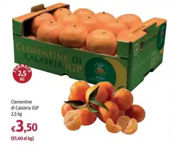 Clementine di Calabria IGP 2,5 kg