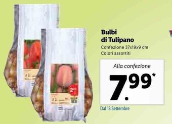 Lidl Bulbi di Tulipano offerta