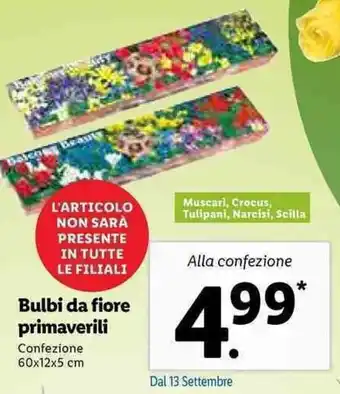 Lidl Bulbi da fiore primaverili 60x12x5cm offerta