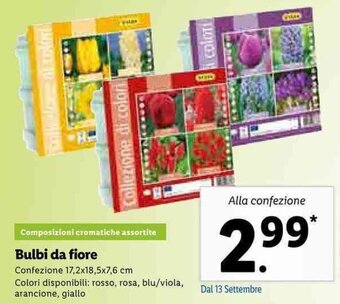 Lidl Bulbi da fiore offerta