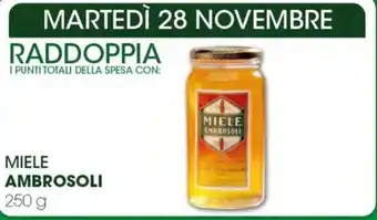 Sidis MIELE AMBROSOLI 250 g offerta