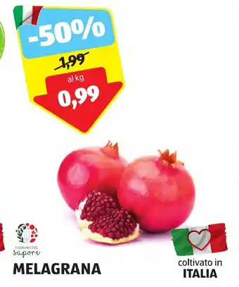 ALDI MELAGRANA offerta