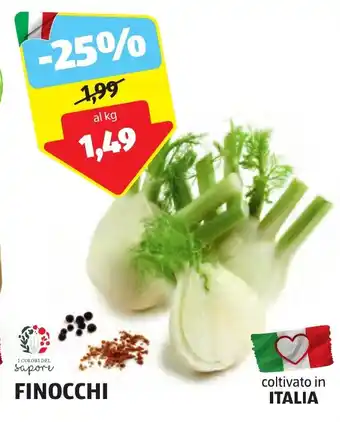 ALDI FINOCCHI offerta