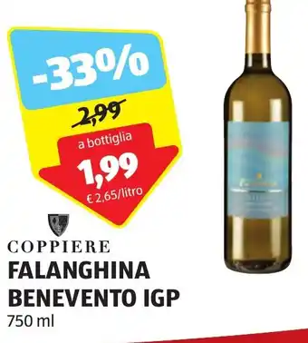 ALDI COPPIERE FALANGHINA BENEVENTO IGP 750 ml offerta