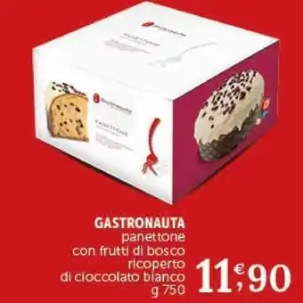 Deco Supermercati GASTRONAUTA panettone con frutti di bosco ricoperto di cioccolato bianco g 750 offerta
