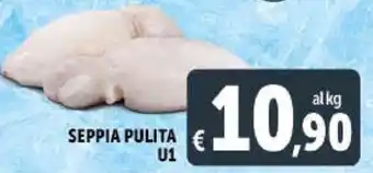 Deco Supermercati SEPPIA PULITA U1 offerta