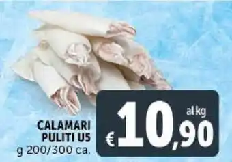 Deco Supermercati CALAMARI PULITI US g 200/300 ca. offerta