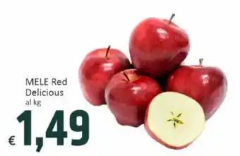Paghi Poco MELE Red Delicious al kg offerta