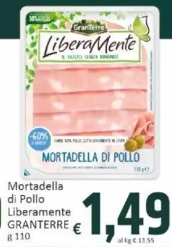 Paghi Poco Mortadella di Pollo LiberaMente GRANTERRE g 110 offerta