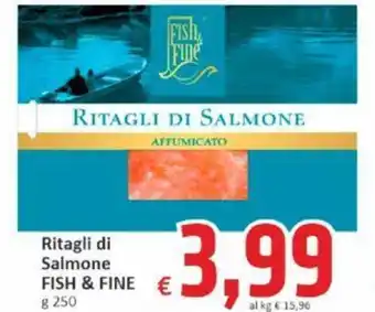 Paghi Poco Ritagli di Salmone FISH & FINE g 250 offerta
