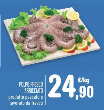 Spazio Conad POLPO FRESCO ARRICCIATO offerta