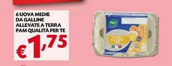 Pam Uova offerta