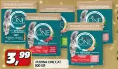 Purina - one cat