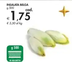 Bennet Insalata belga offerta