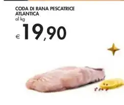 Bennet Coda di rana pescatrice atlantica offerta