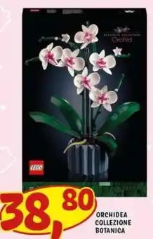 Risparmio Casa Orchidea collezione botanica offerta