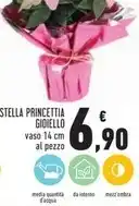 Conad Stella princettia gioiello offerta