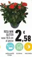 Conad Rosa mini glitter offerta