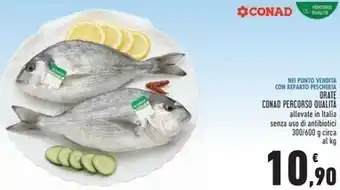 Conad Conad - orate percorso qualità offerta