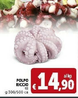 Deco Supermercati Polpo Riccio offerta