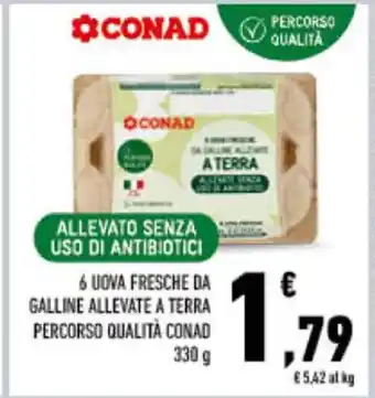 Conad 6 UOVA FRESCHE DA GALLINE ALLEVATE A TERRA PERCORSO QUALITÀ CONAD 330 g offerta