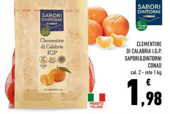 Conad CLEMENTINE DI CALABRIA I.G.P. SAPORI&DINTORNI CONAD 1 kg offerta
