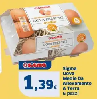 Il Punto Sigma Sigma Uova Medie Da Allevamento A Terra 6 pezzi offerta