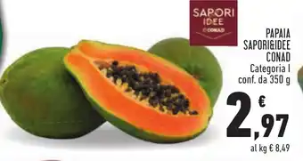 Conad PAPAIA SAPORI&IDEE CONAD 350 g offerta
