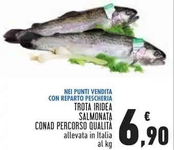 Conad TROTA IRIDEA SALMONATA CONAD PERCORSO QUALITÀ offerta