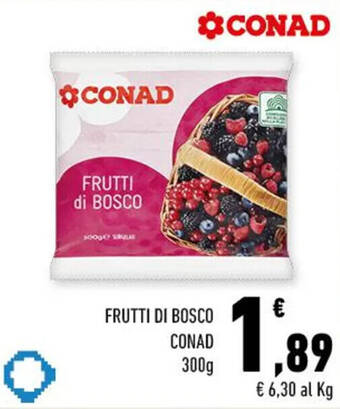 Conad FRUTTI DI BOSCO CONAD 300g offerta