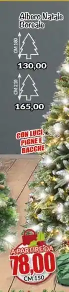 Risparmio Casa Albero natale boreale offerta