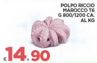 Deco Superfreddo POLPO RICCIO MAROCCO T6 G 800/1200 CA. offerta