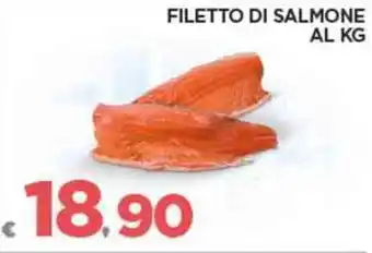 Deco Superfreddo FILETTO DI SALMONE offerta
