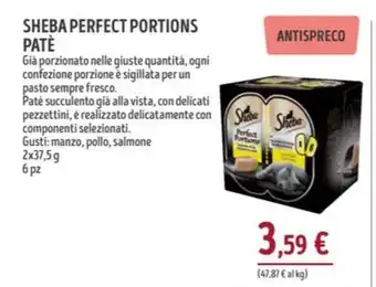 Il Gigante Cibo per gatti offerta