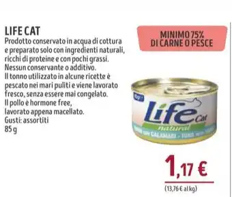 Il Gigante Cibo per gatti offerta
