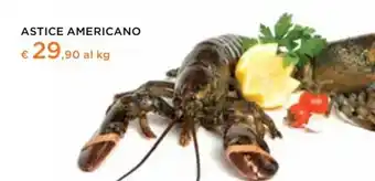 Astice americano