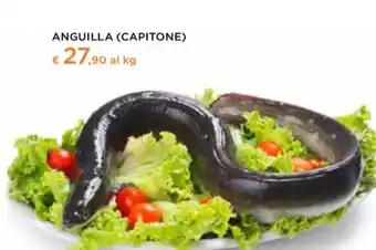 Conad Anguilla (capitone) offerta