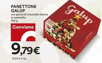 Coop PANETTONE GALUP 750 g offerta
