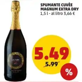 PENNY Magnum - spumante cuvee extra dry offerta