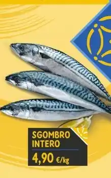 Sapore di Mare SGOMBRO INTERO offerta