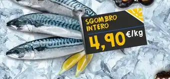 Sapore di Mare SGOMBRO INTERO offerta
