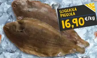 SOGLIOLA PICCOLA