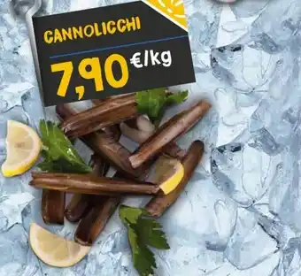 CANNOLICCHI