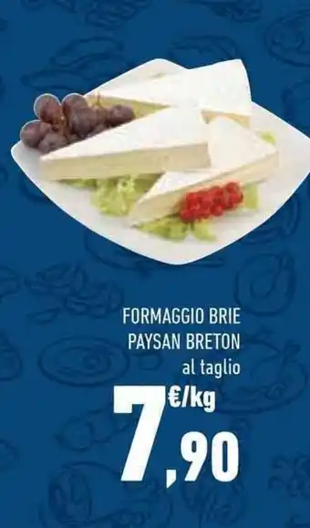 Conad Superstore FORMAGGIO BRIE PAYSAN BRETON offerta