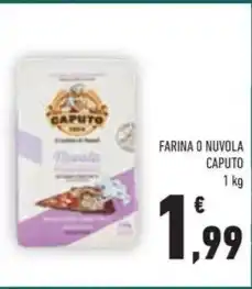 Conad FARINA O NUVOLA CAPUTO 1 kg offerta